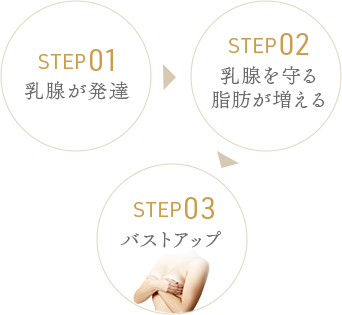 バストアップのステップ